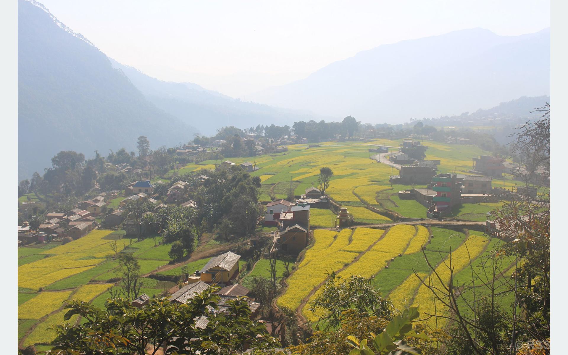 रत्नेचौर गाउँ