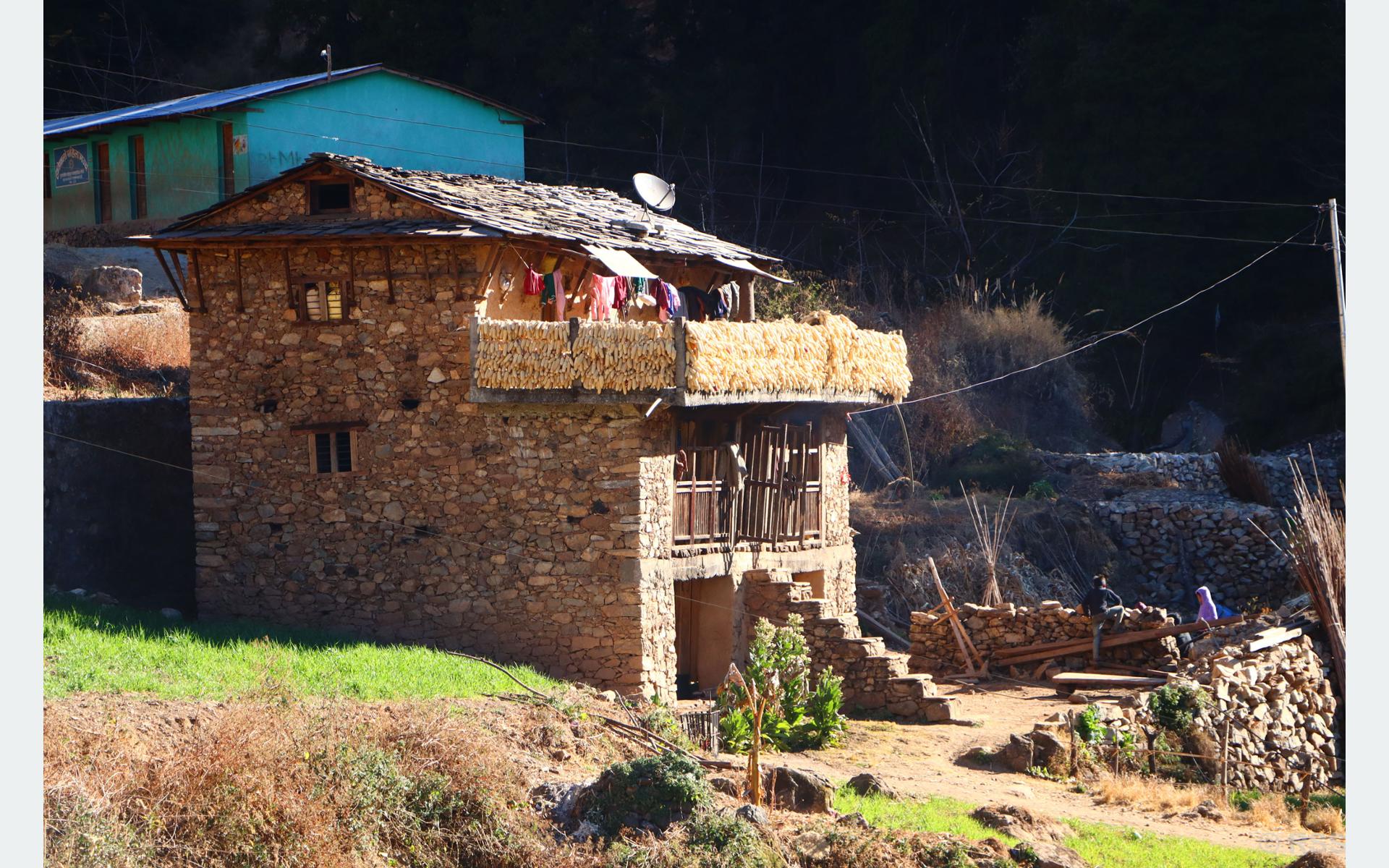 बार्दलीमा झुण्डाइएका मकै