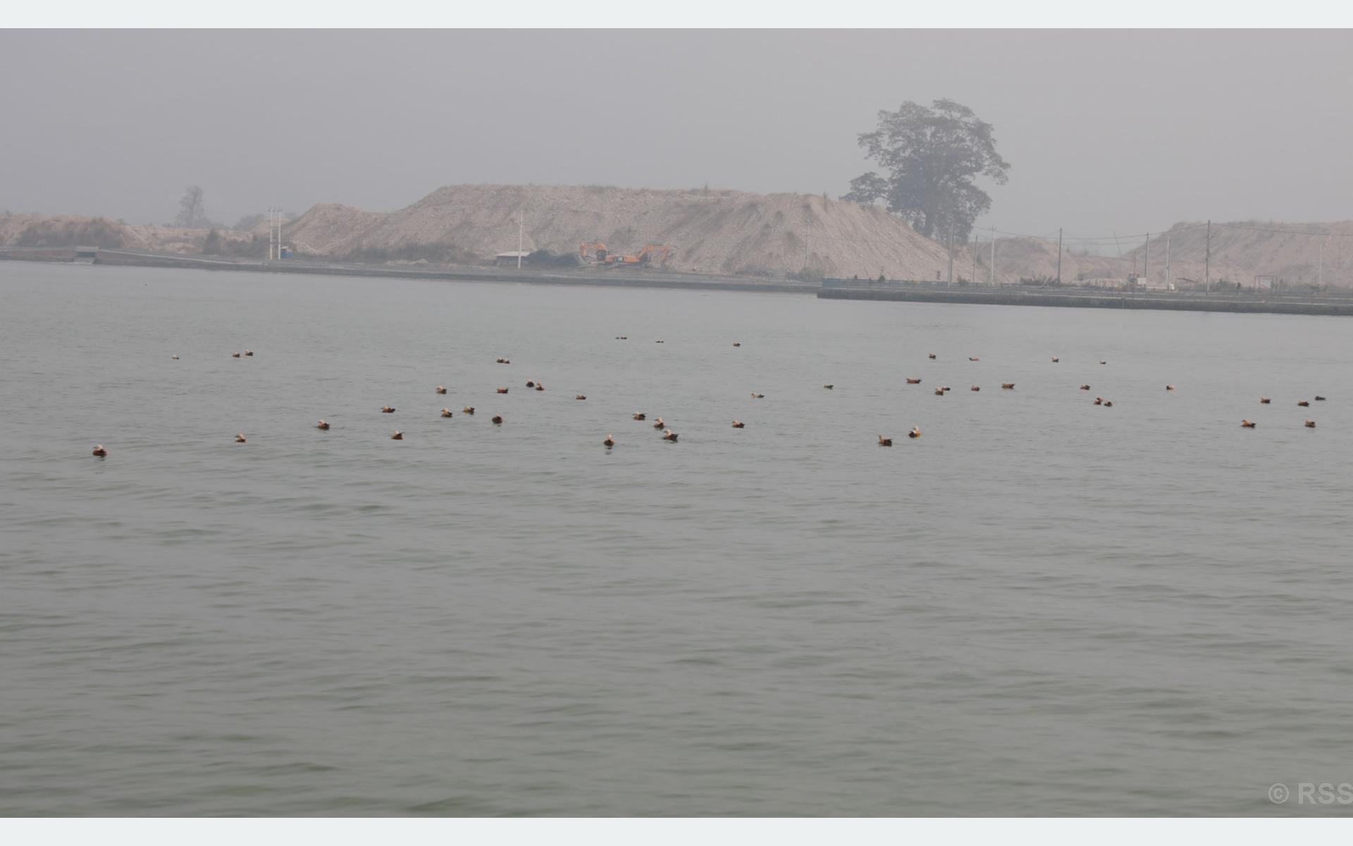 जल चराको बथान