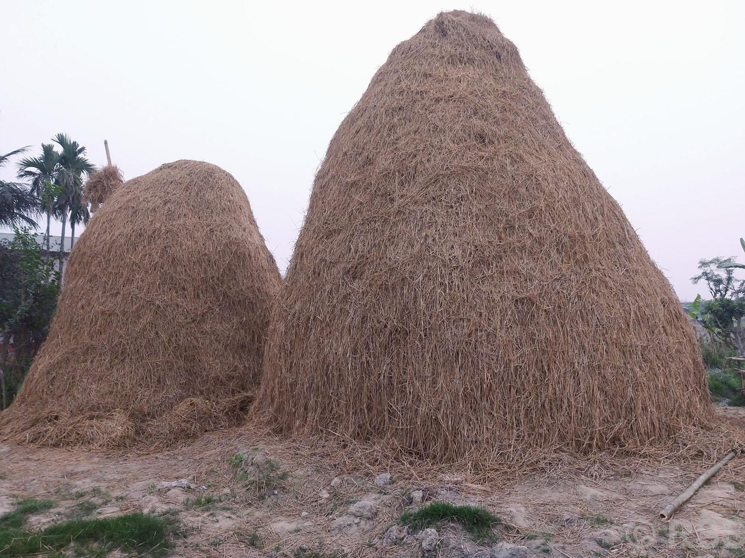 परालको माच
