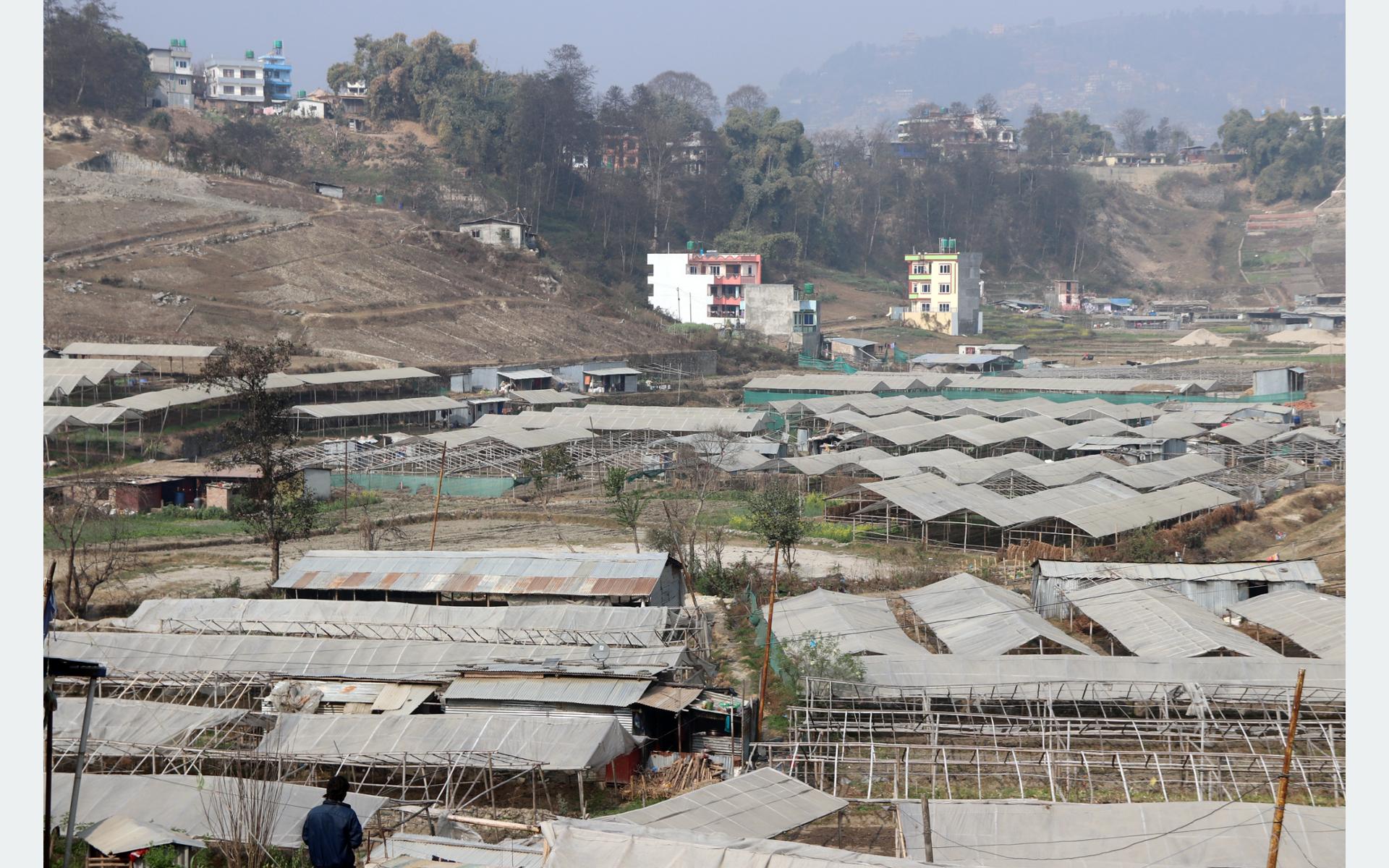 तरकारी खेतीका लागि टनेल