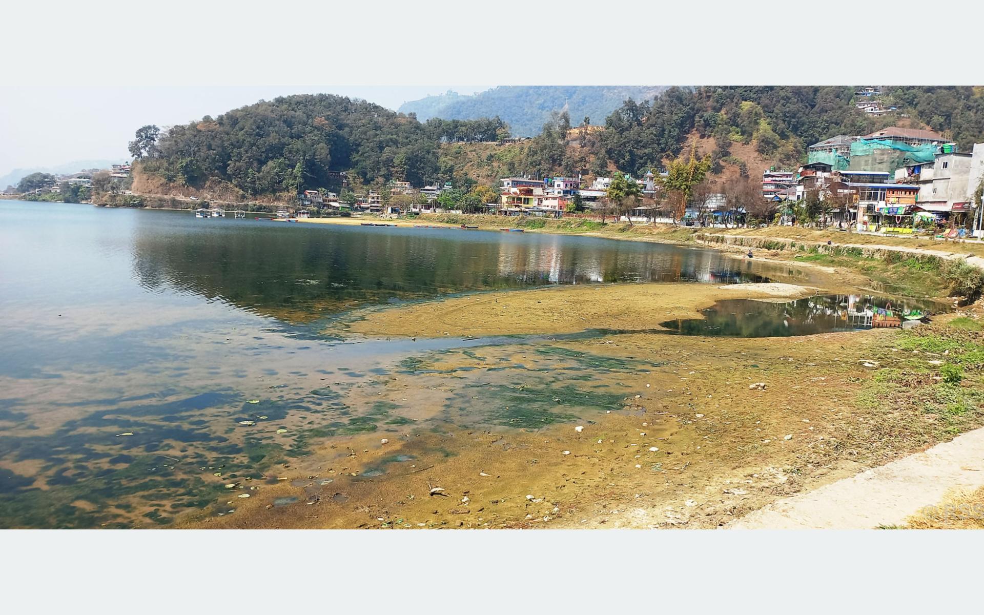 सुख्खा फेवाताल किनारा