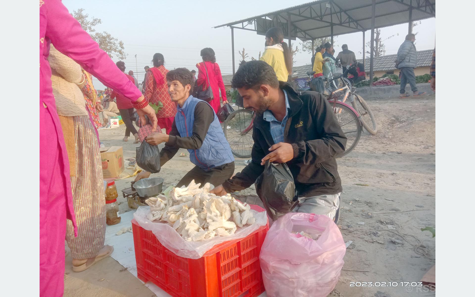 च्याउ बिक्री गर्दै विद्यार्थी