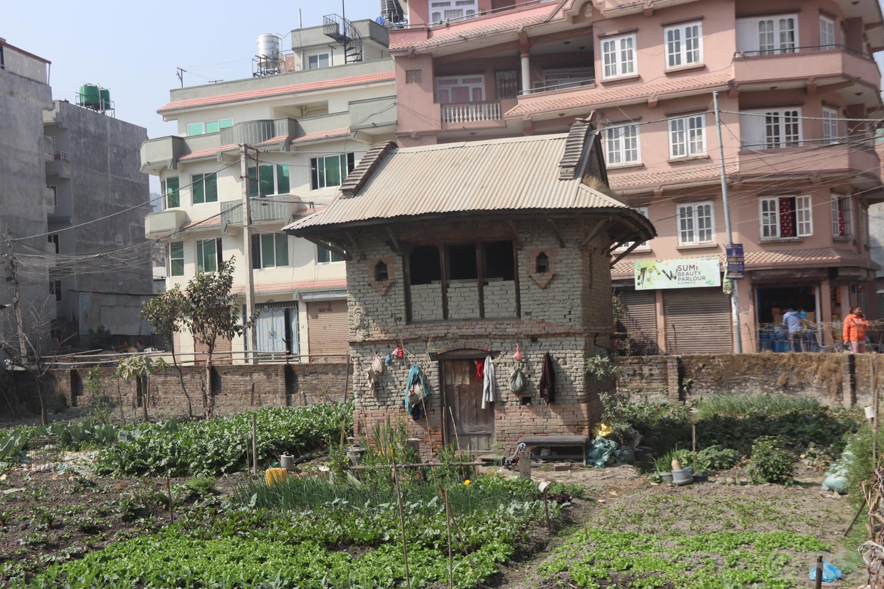 घर ‘ बल्ल’