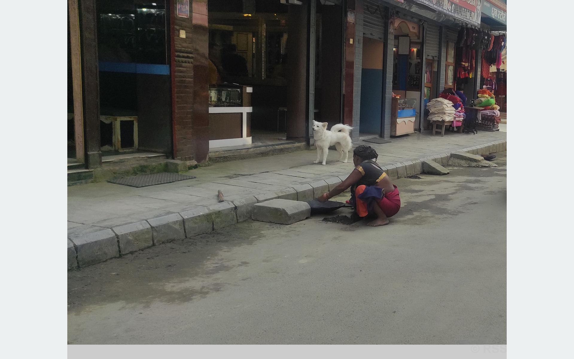 फोहोरबाट मोहर कमाउँदै