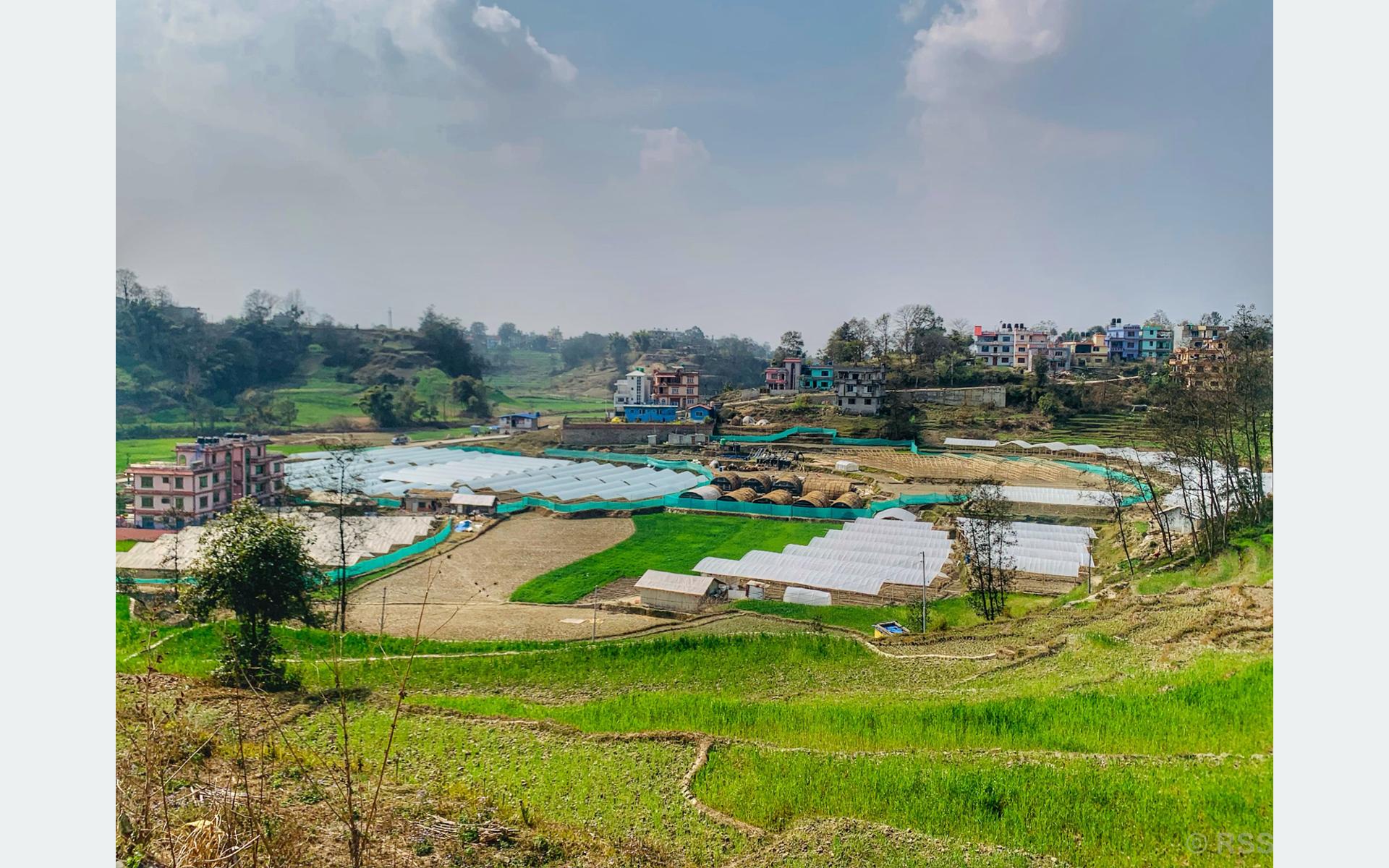 प्लास्टिकको टनेल