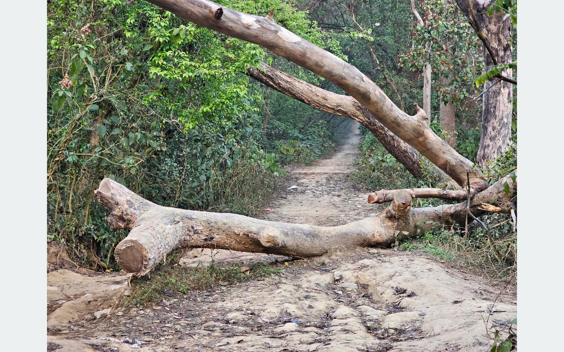 एक वर्षदेखि अवरुद्ध भएको सडक