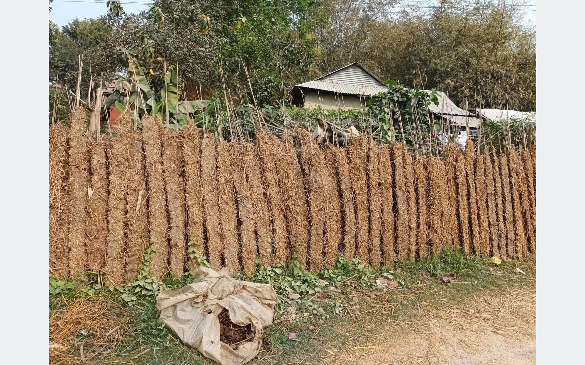 गाउँघरमा अझै गुईठा