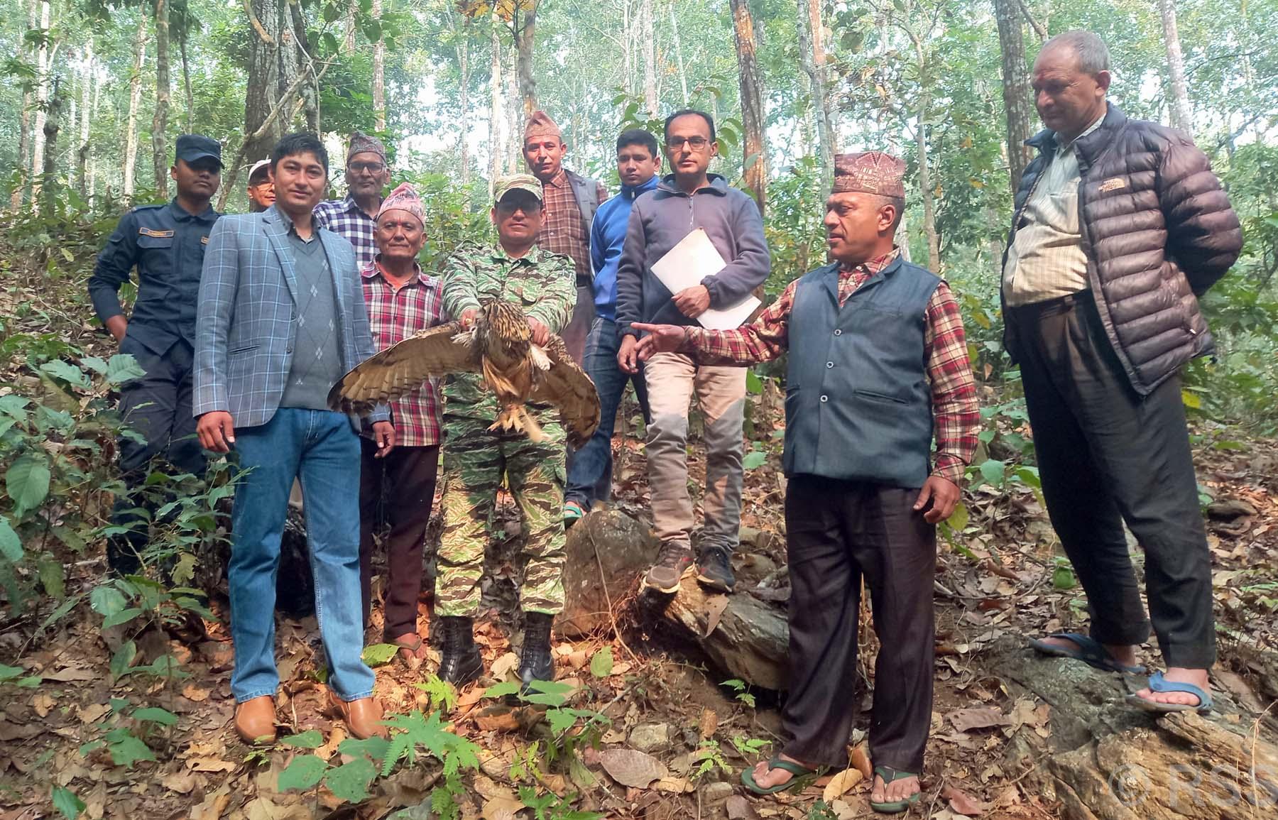 संरक्षित पंक्षी हुचिल वनमा छोडिँदै
