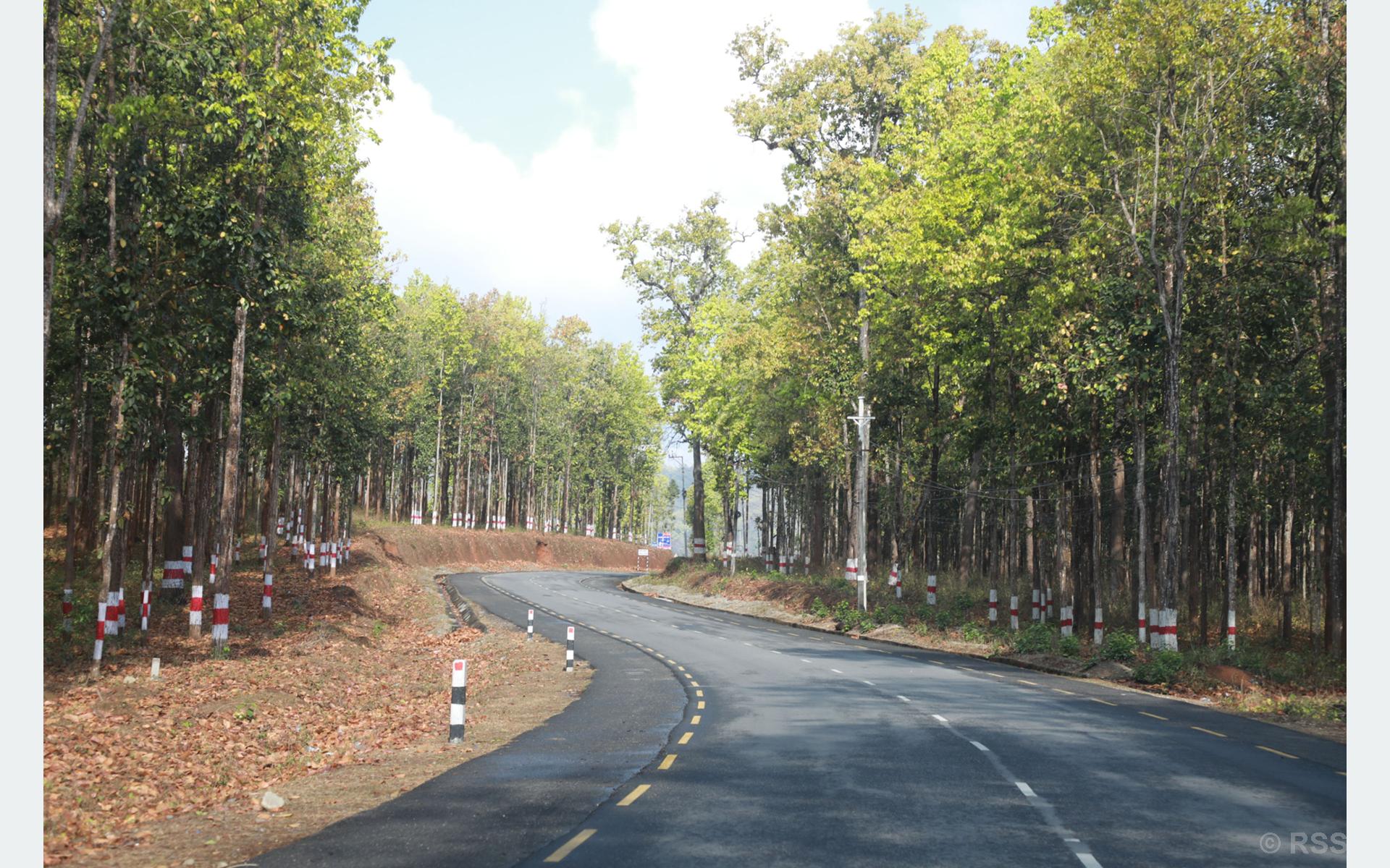 जङ्गलकोबीचबाट लोकमार्ग