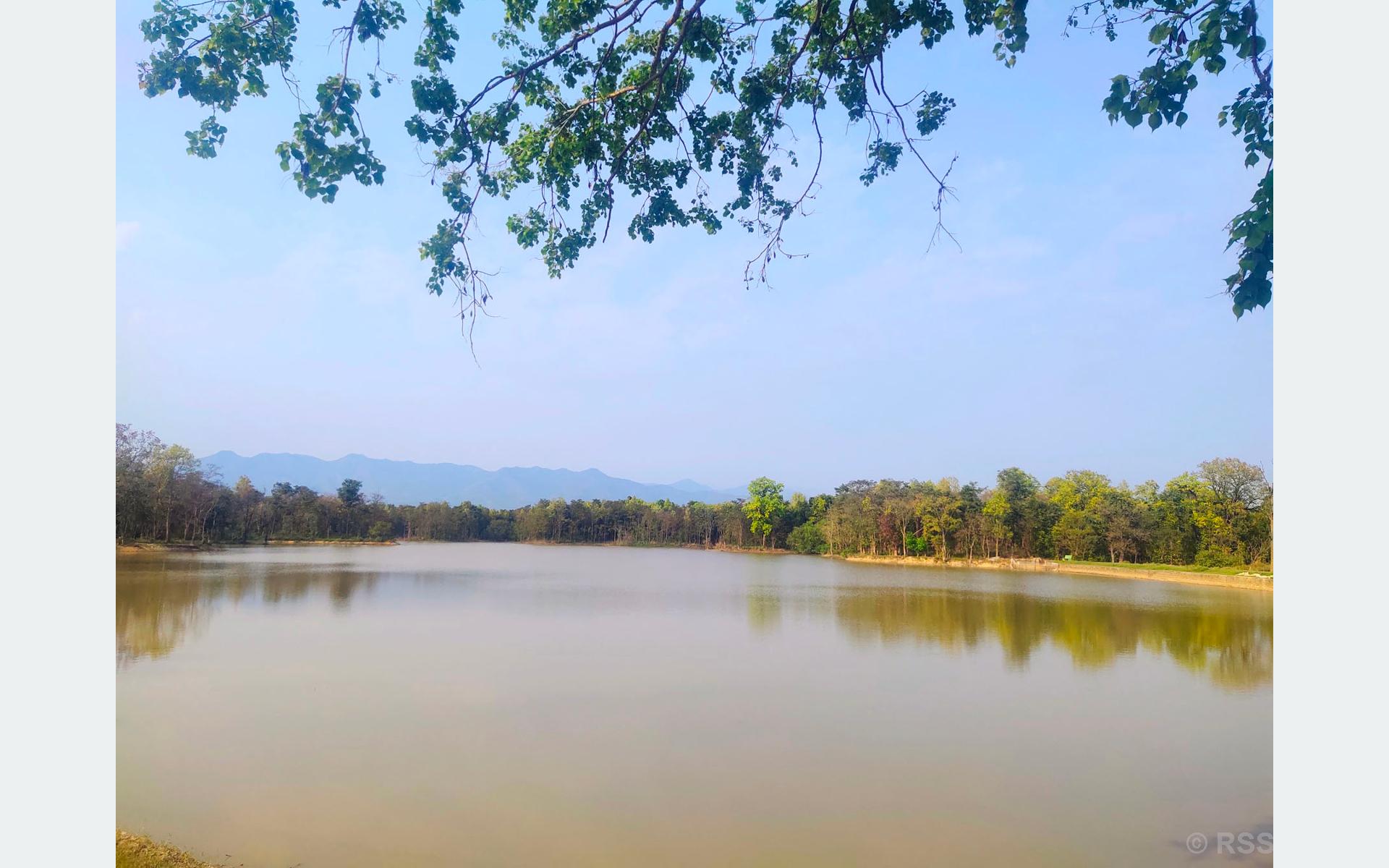 विर्जा ताल
