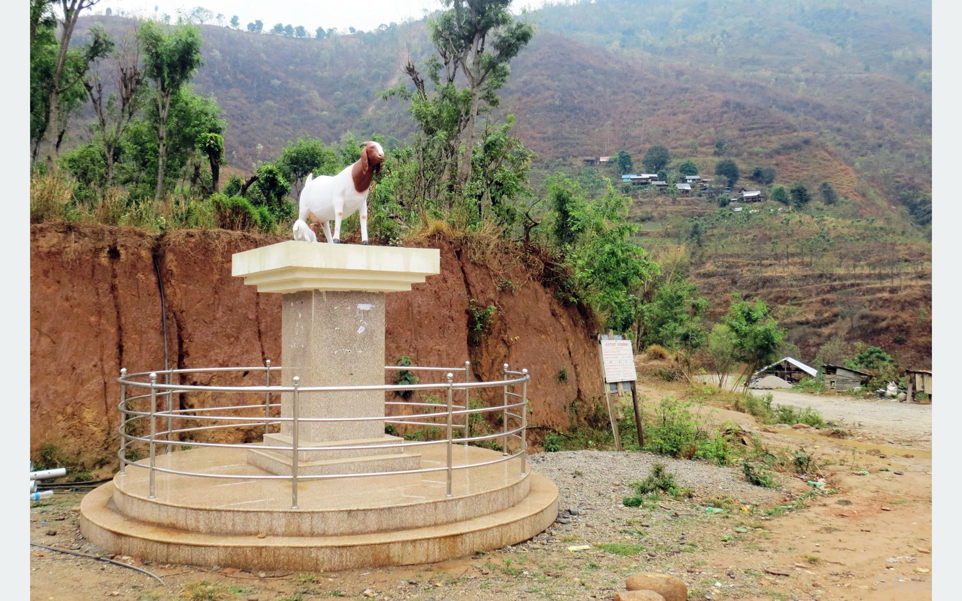 किसानद्वारा निर्मित बोयर बाख्राको प्रतिमा