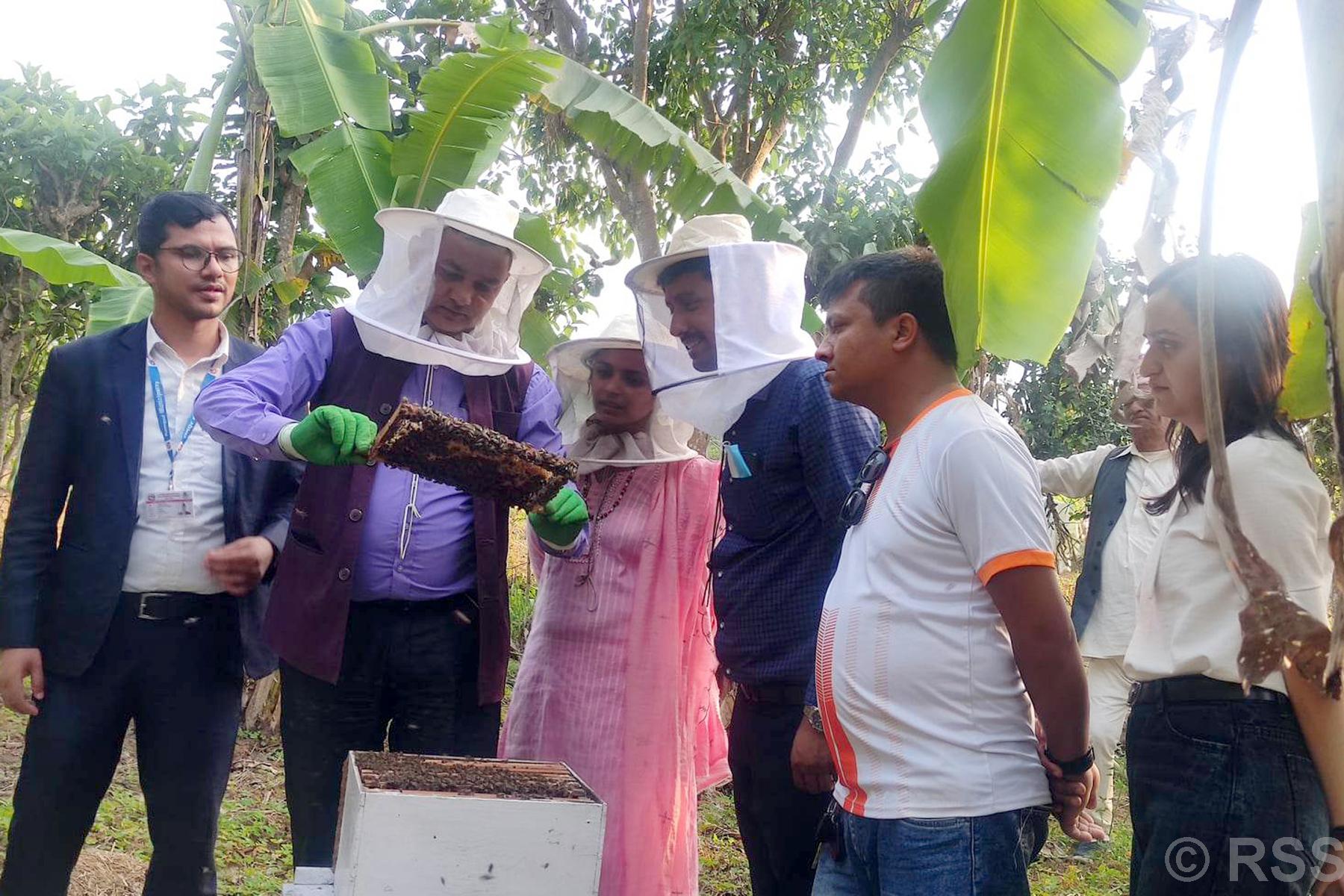 कृषकलाई मौरीपालनबारे जानकारी