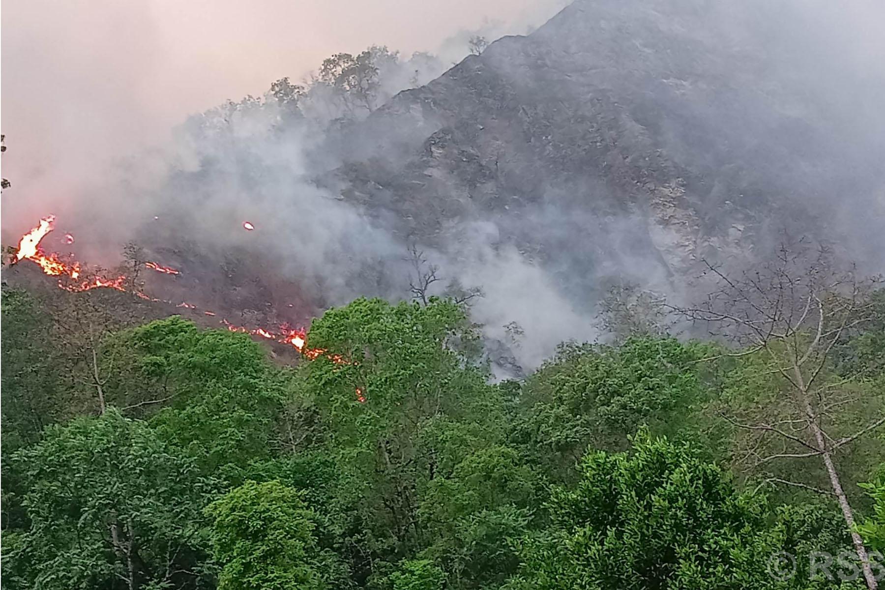 म्याग्दीको भकिम्लीको जंगलमा लागेको डढेलो