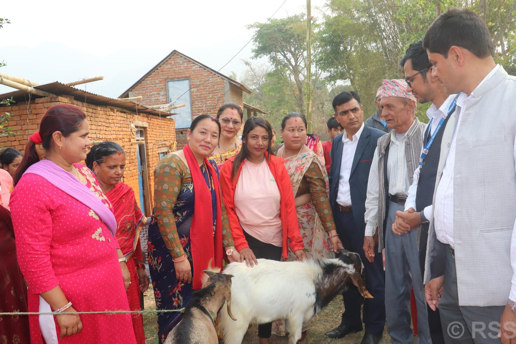 बोका वितरण
