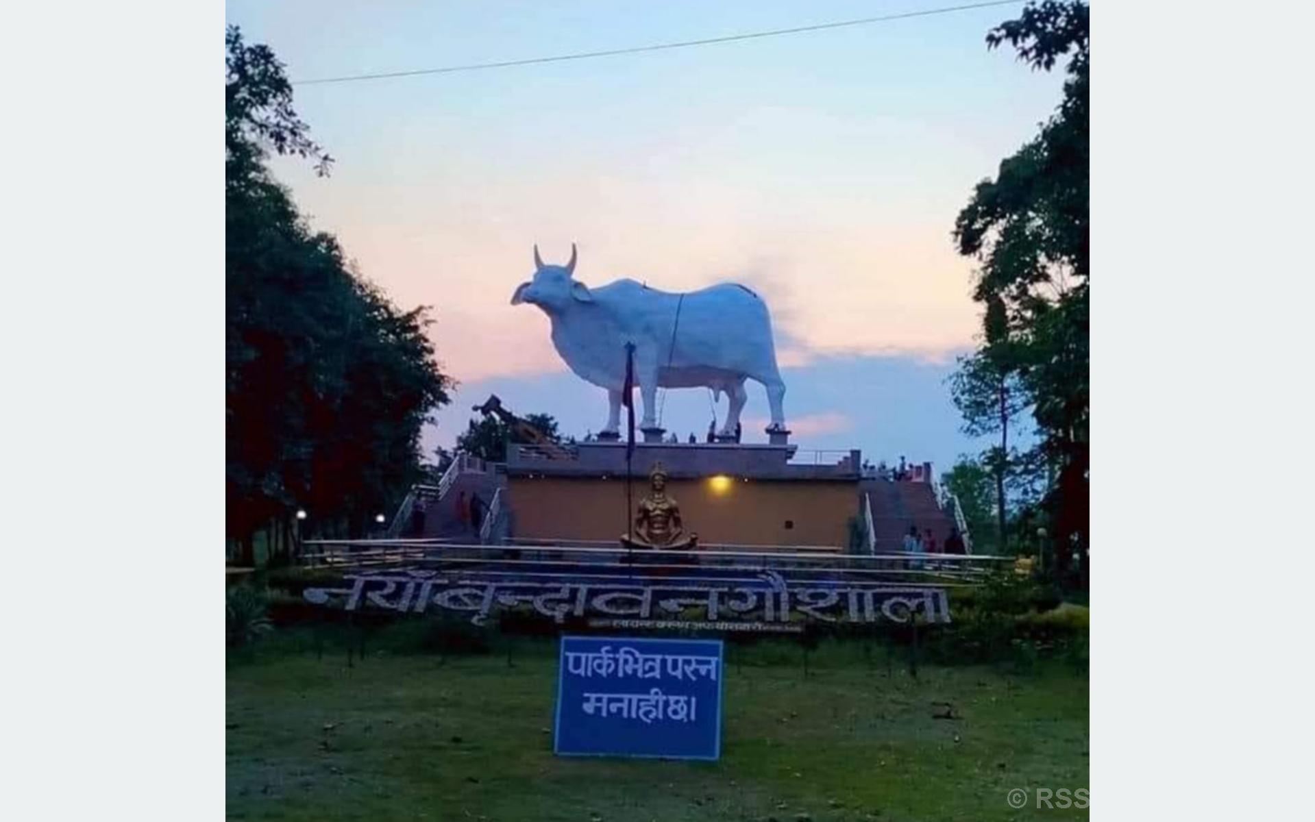विश्वकै अग्लो गाईको प्रतिमा