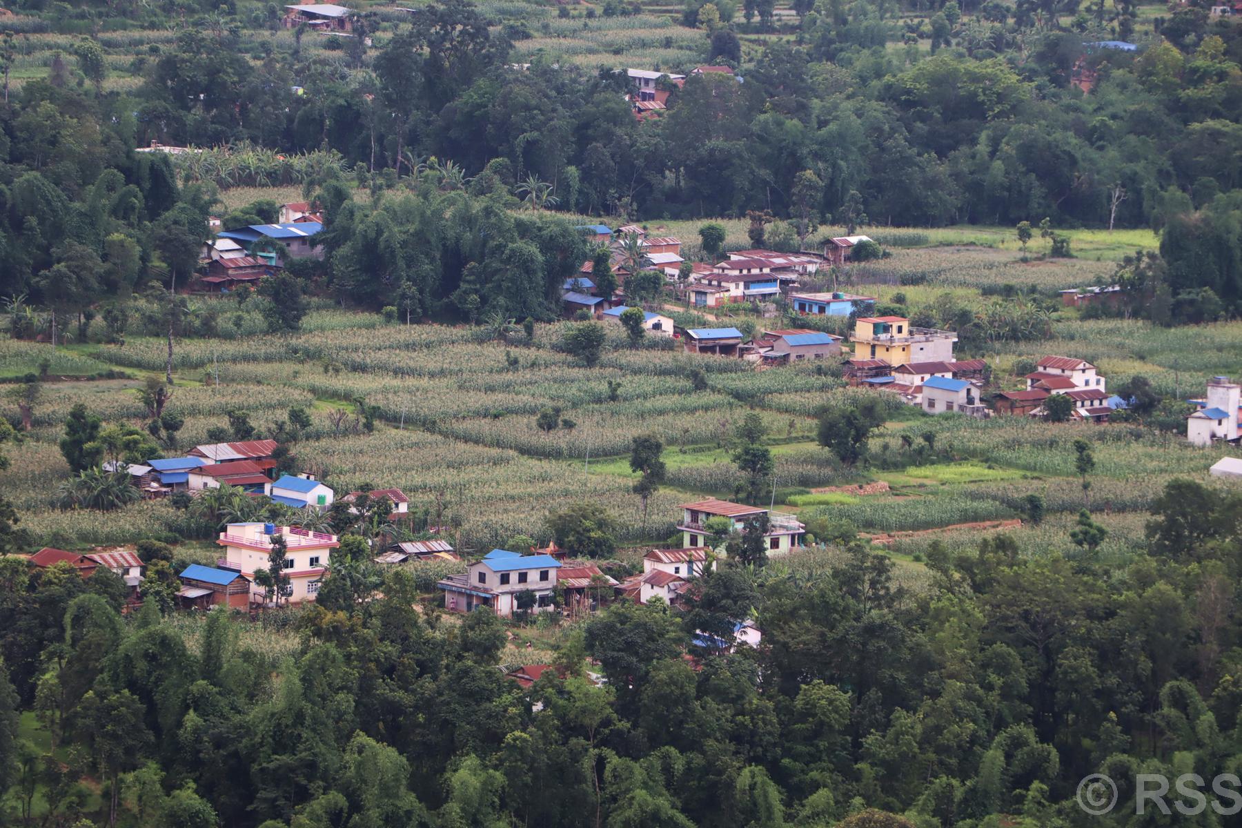 फलेवास बजार