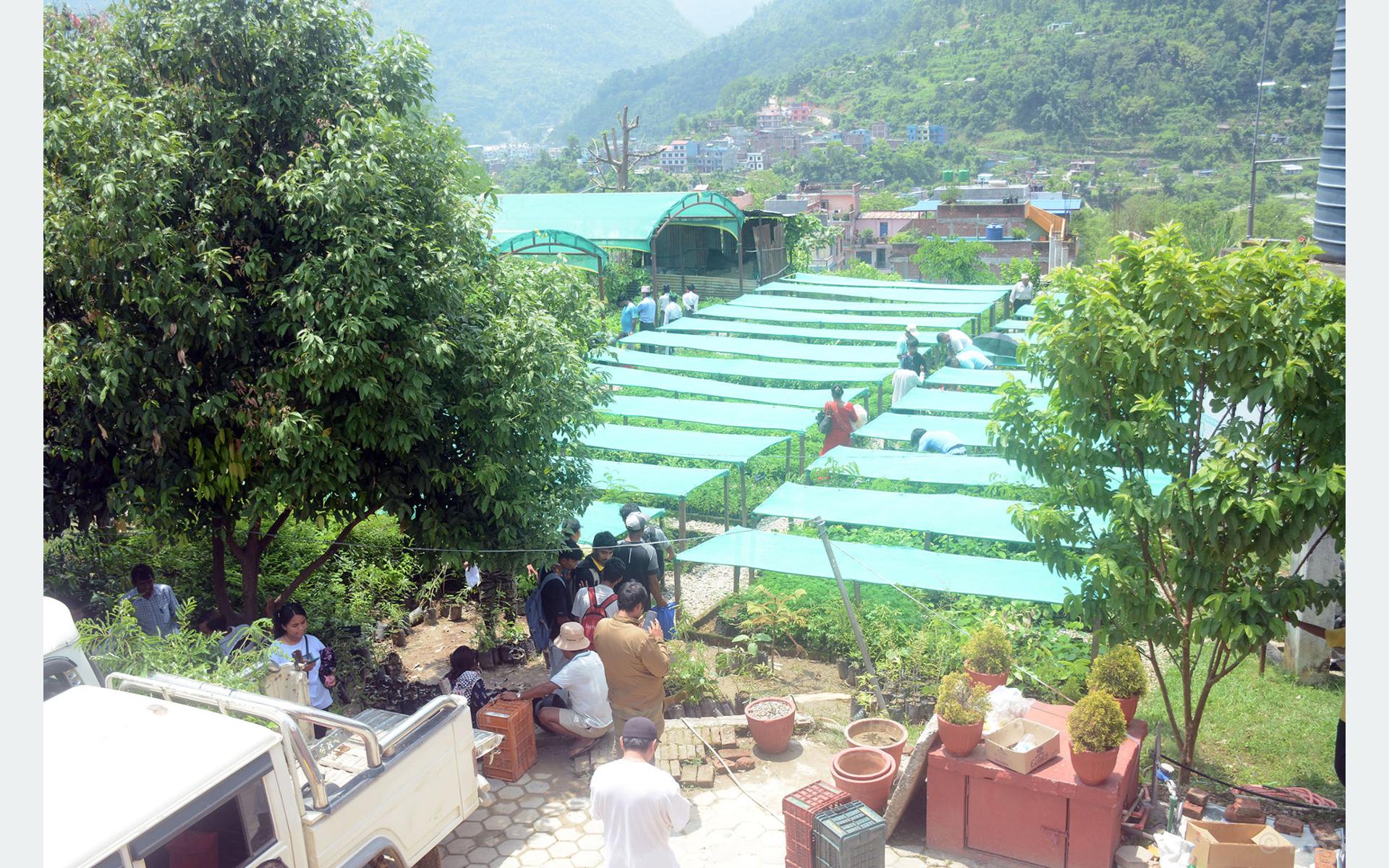 बिरुवा लिन आएका सर्वसाधारण