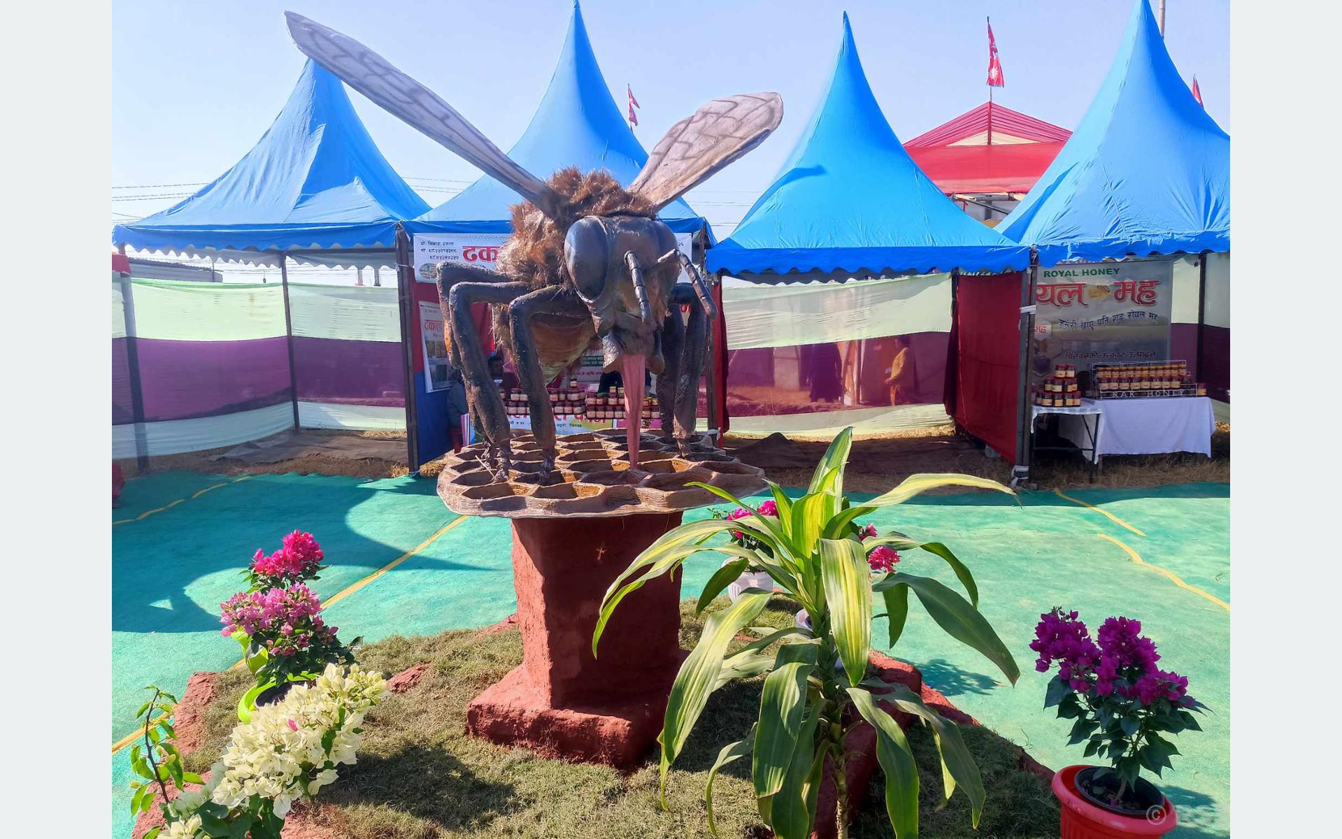 खैरहनी महोत्सवमा महको प्रवर्द्धन गरिँदै