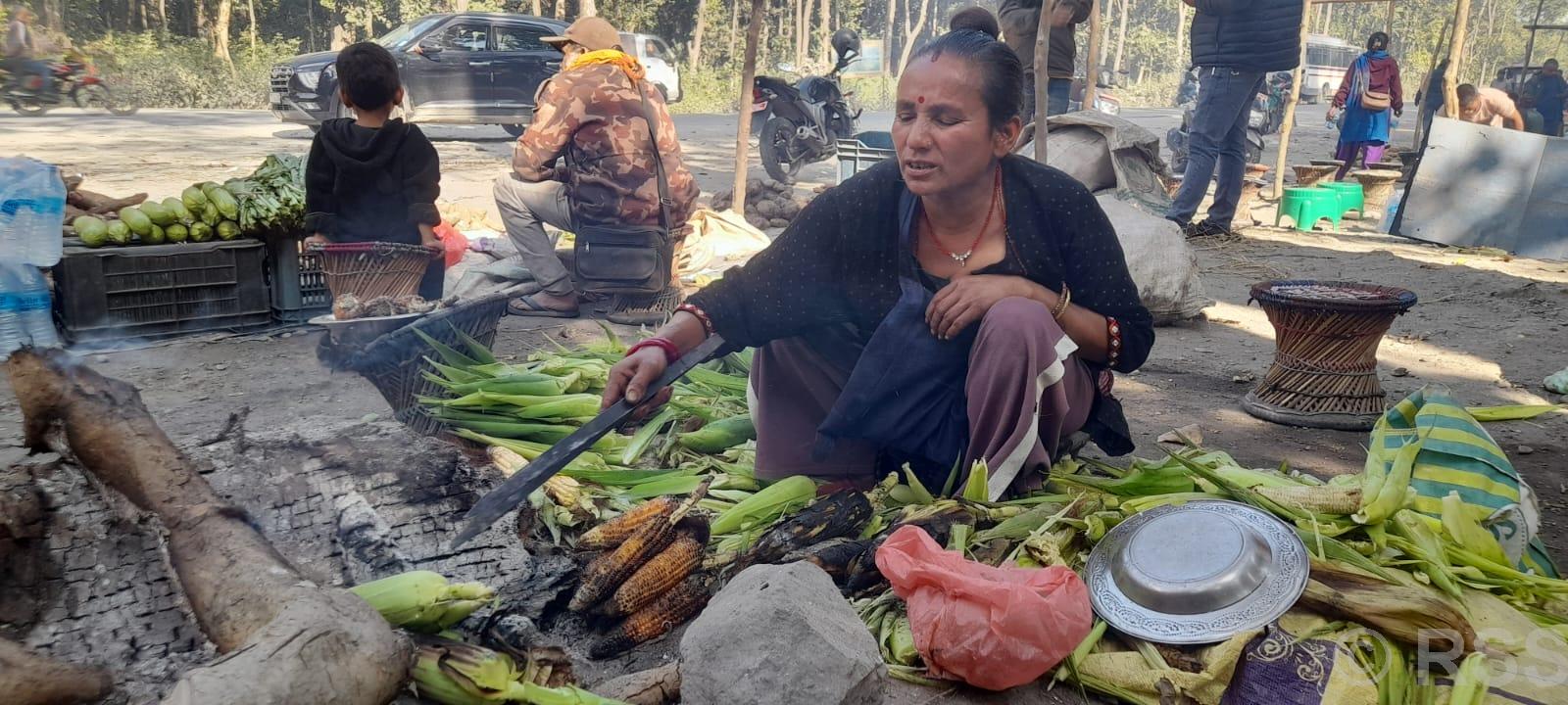 राजमार्ग छेउमा मकै पोलेरै जिविका, दैनिक १५ सयसम्म आम्दानी
