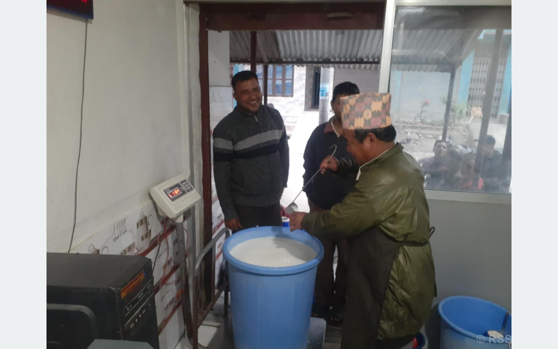१३ वर्ष वैदेशिक रोजगारीमा बिताएर फर्किएका आचार्यको दूध बेचेर मासिक दुई लाख कमाइ !