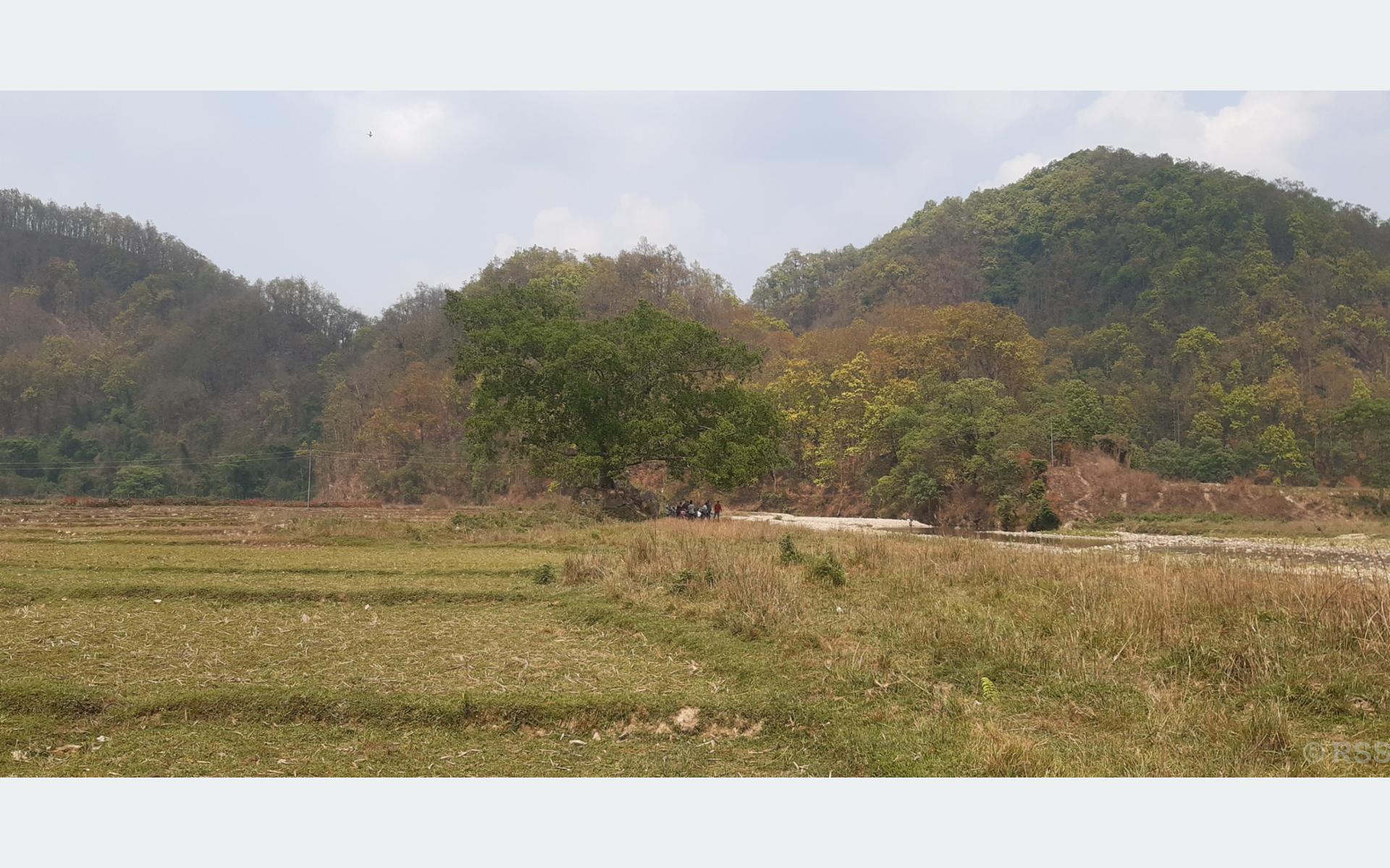 सुरौदी जलाधार क्षेत्रः पुल नहुँदा जोखिमयुक्त, खेतीयोग्य जमिन बगरमा परिणत