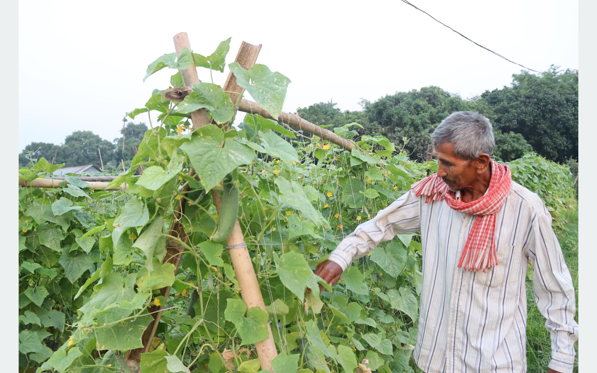 चौसट्ठी वर्षमा पनि युवा उमेरमा जस्तै जाँगरिला युक्ति चौधरी