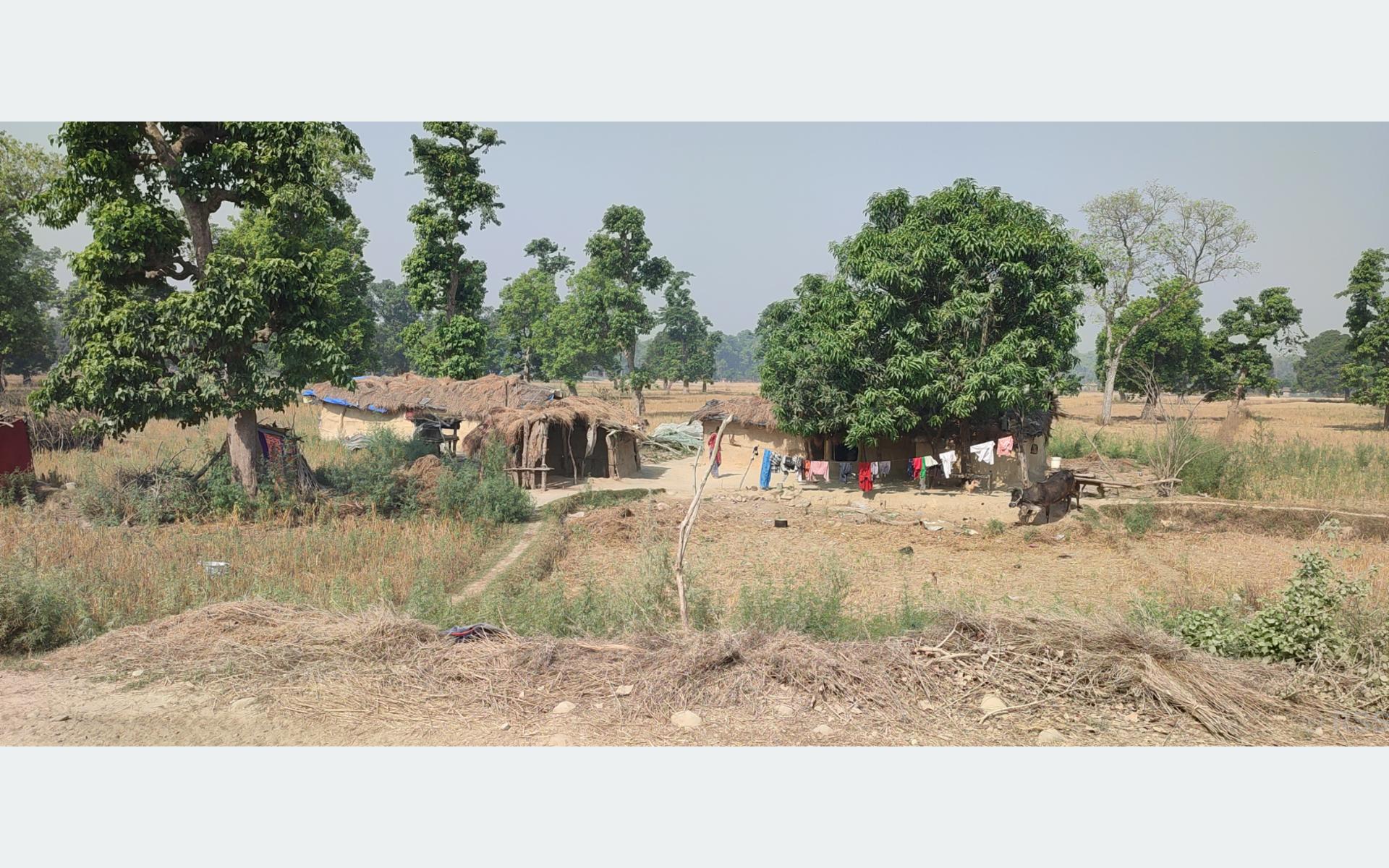 चौबीस वर्षदेखि न्यायको पर्खाइमा शुक्लाफाँटा आरक्षबाट विस्थापित