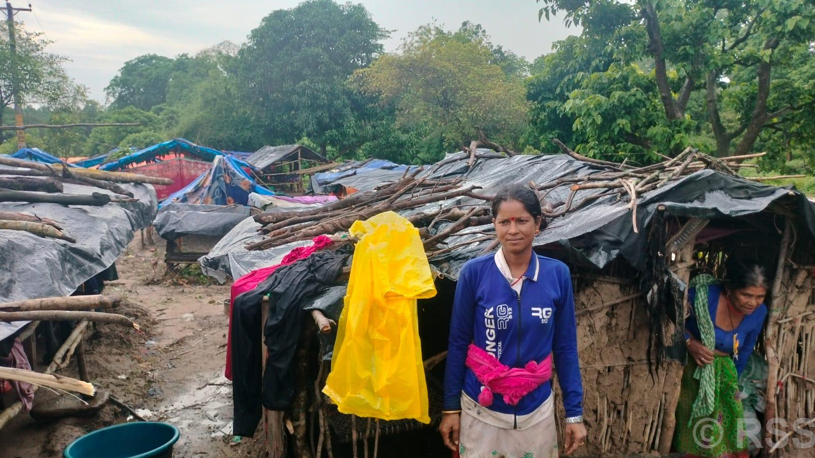 कञ्चनपुरको वनहराका भूमिहीन परिवारको बिचल्लीः बाढीको जोखिमले राजमार्ग छेउमा बस्न बाध्य