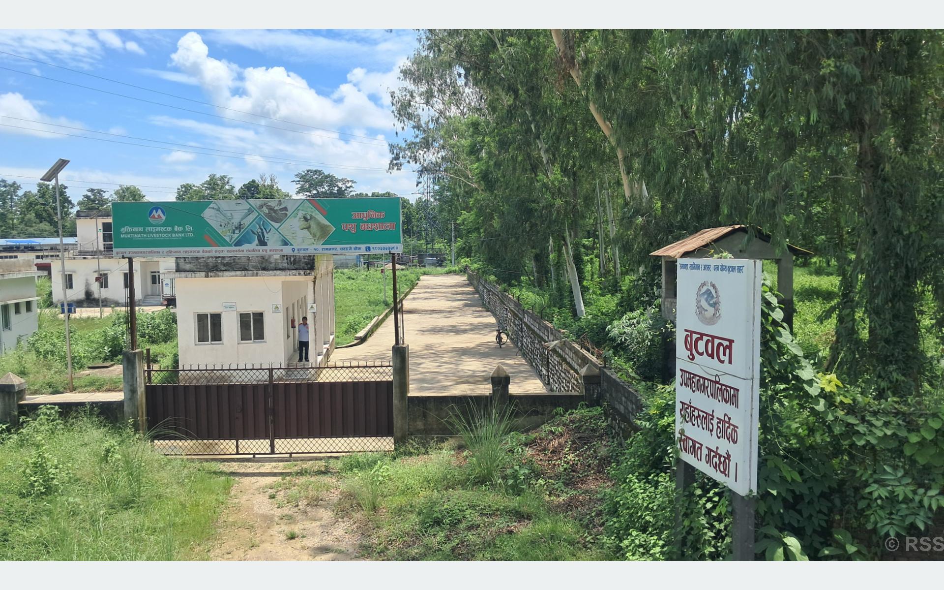 बुटवलको अत्याधुनिक बधशाला अलपत्र, करोडौंको लगानी खेर