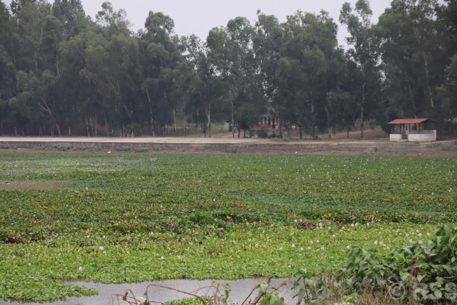 कञ्चनपुरको बन्धातालमा पाँच करोडको लगानीमा पूर्वाधार निर्माण गरिँदै