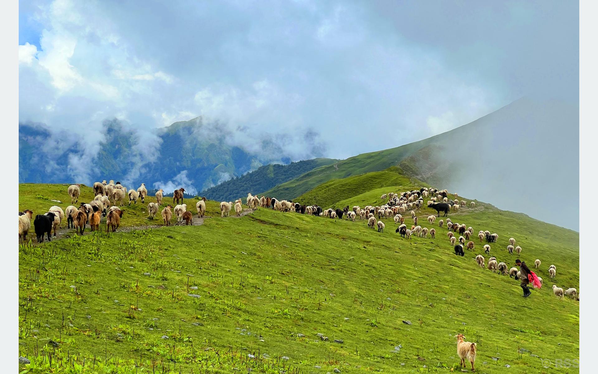 पदयात्राको उत्कृष्ट गन्तव्य बन्दै ‘बुकीपाटन’, आन्तरिक तथा बाह्य पर्यटकको चहलपहल बढ्दो