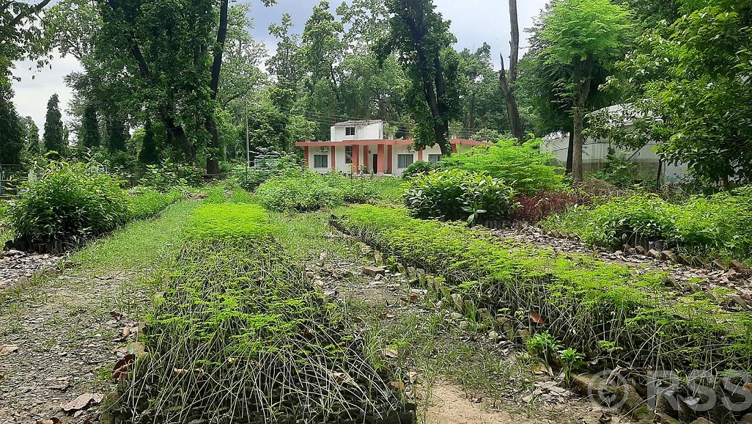 जडीबुटीका विरुवासँगै तालिम दिँदै वनस्पती अनुसन्धान केन्द्र