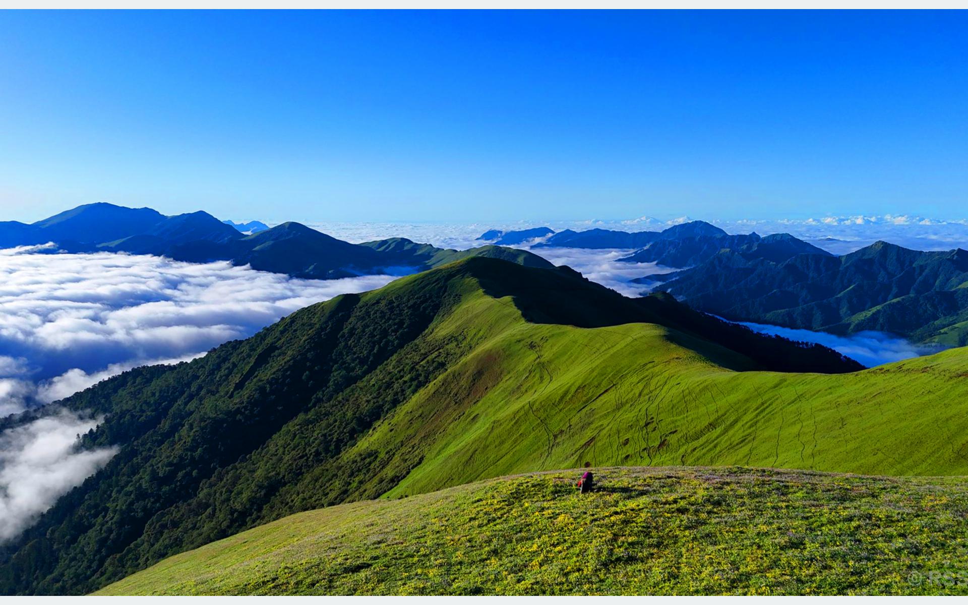 मनै लोभ्याउने चौरीखर्क ! आन्तरिक पर्यटकको गन्तव्य बन्दै