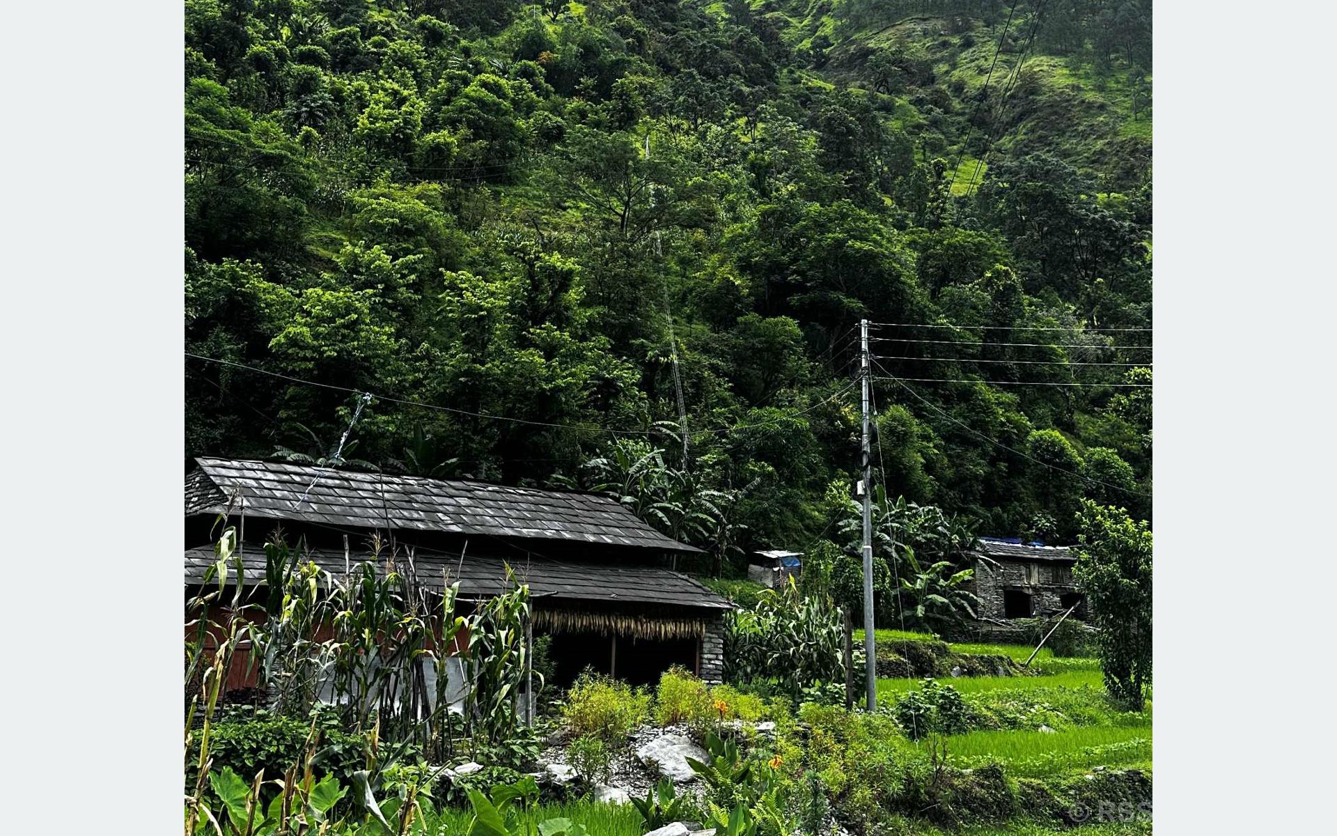म्याग्दीमा विद्युत् वितरण प्रणाली सुदृढीकरण योजना, १० करोड बजेट विनियोजन