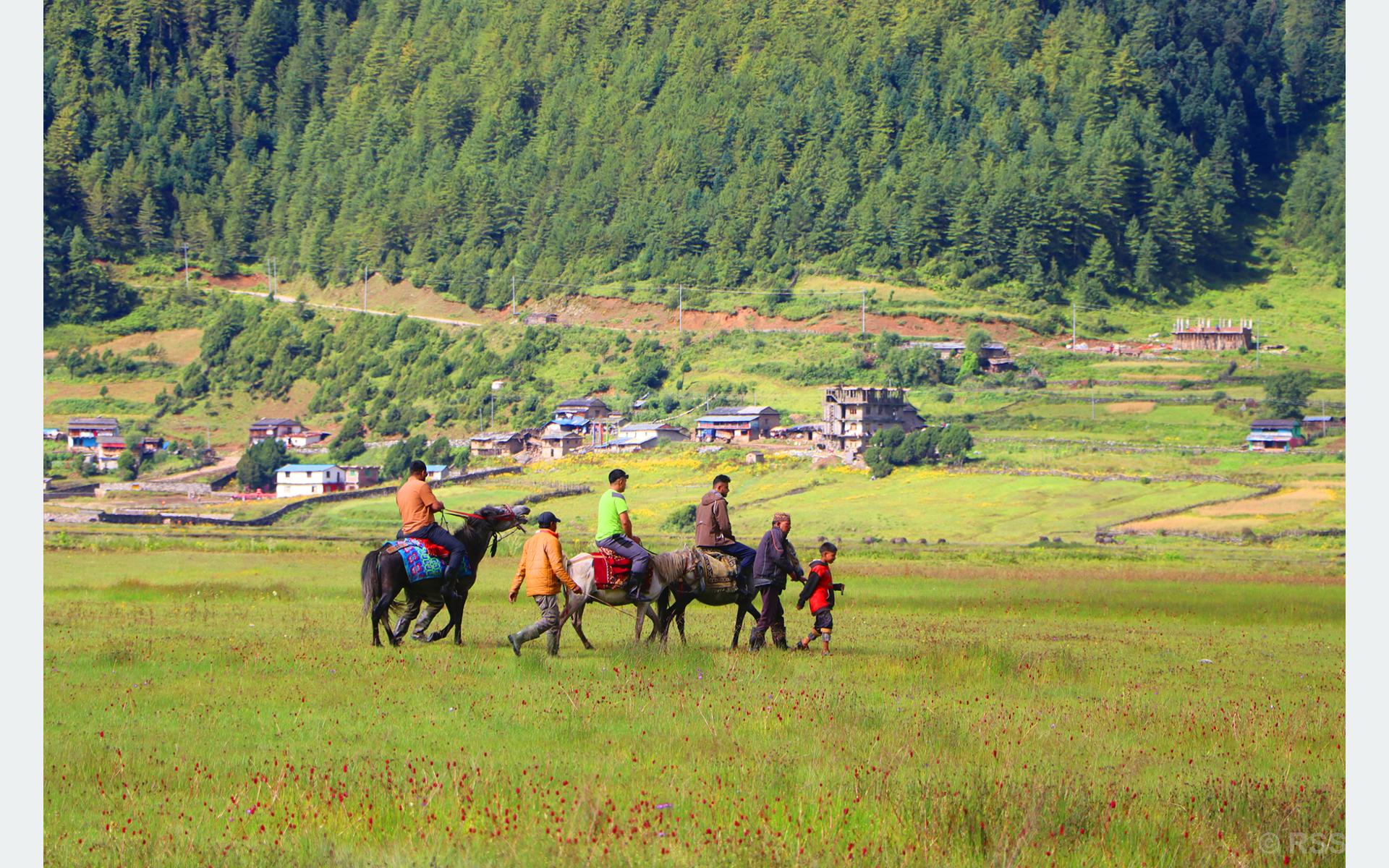 ढोरपाटनमा पर्यटकको चाप बढ्यो, घोडा व्यवसाय फस्टाउँदै
