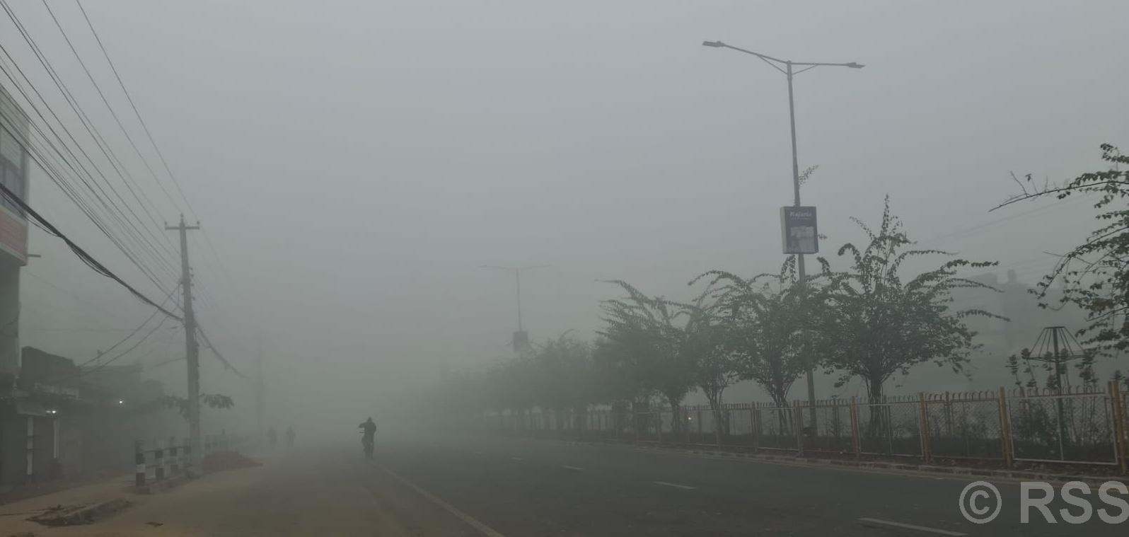 बाक्लो हुस्सु र कुहिरोले पश्चिम तराईको जनजीवन प्रभावित