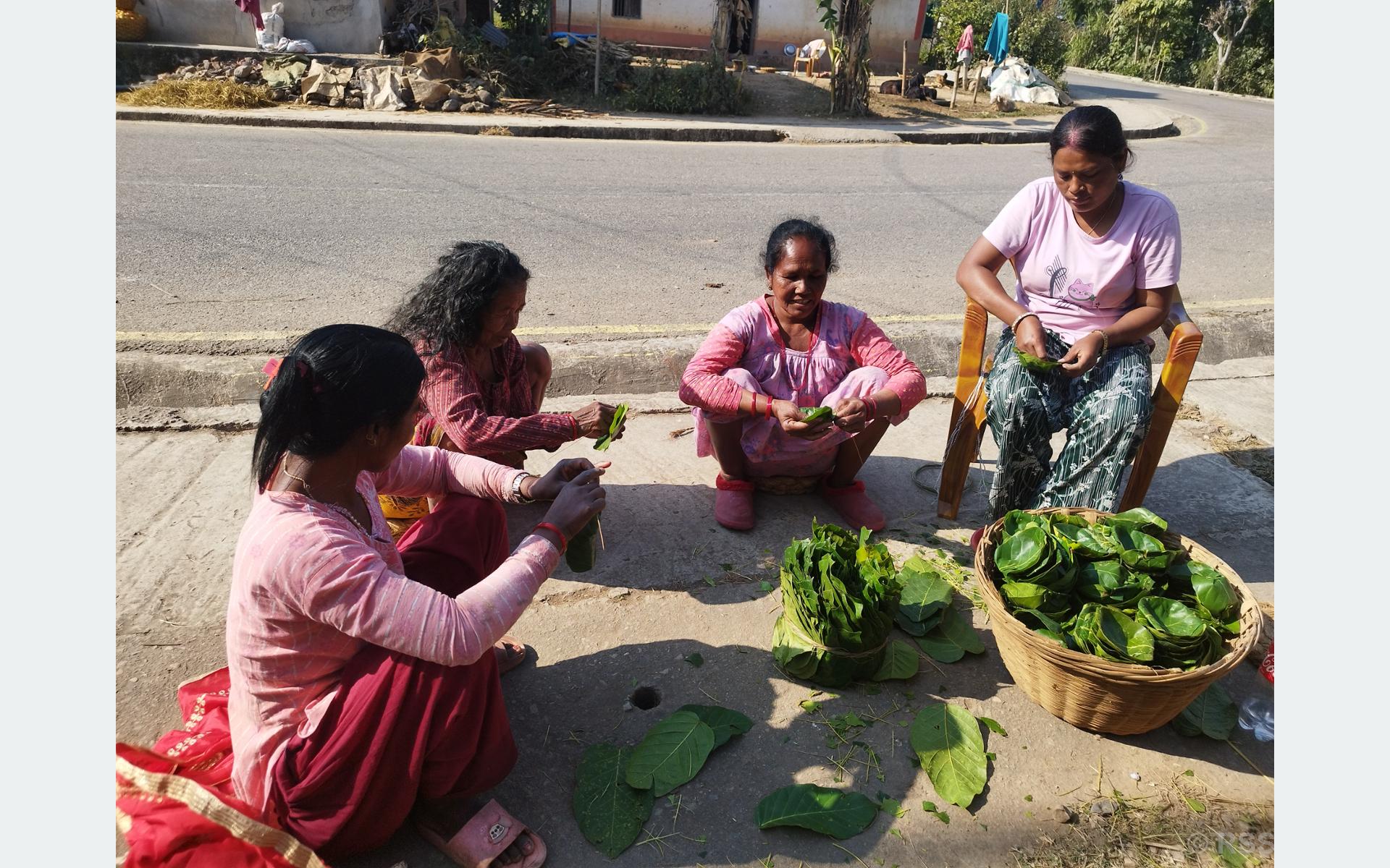 थारु बस्तीमा माघीको रौनक सुरु