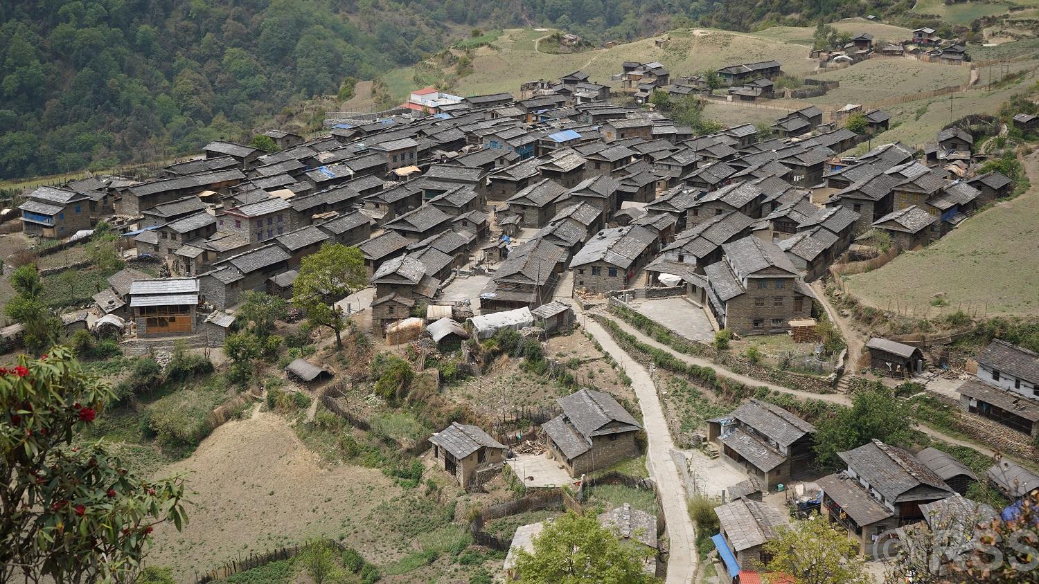 यातायात सञ्चालसँग जोडिदैँ गुर्जा, सडक निर्माण अन्तिम चरणमा