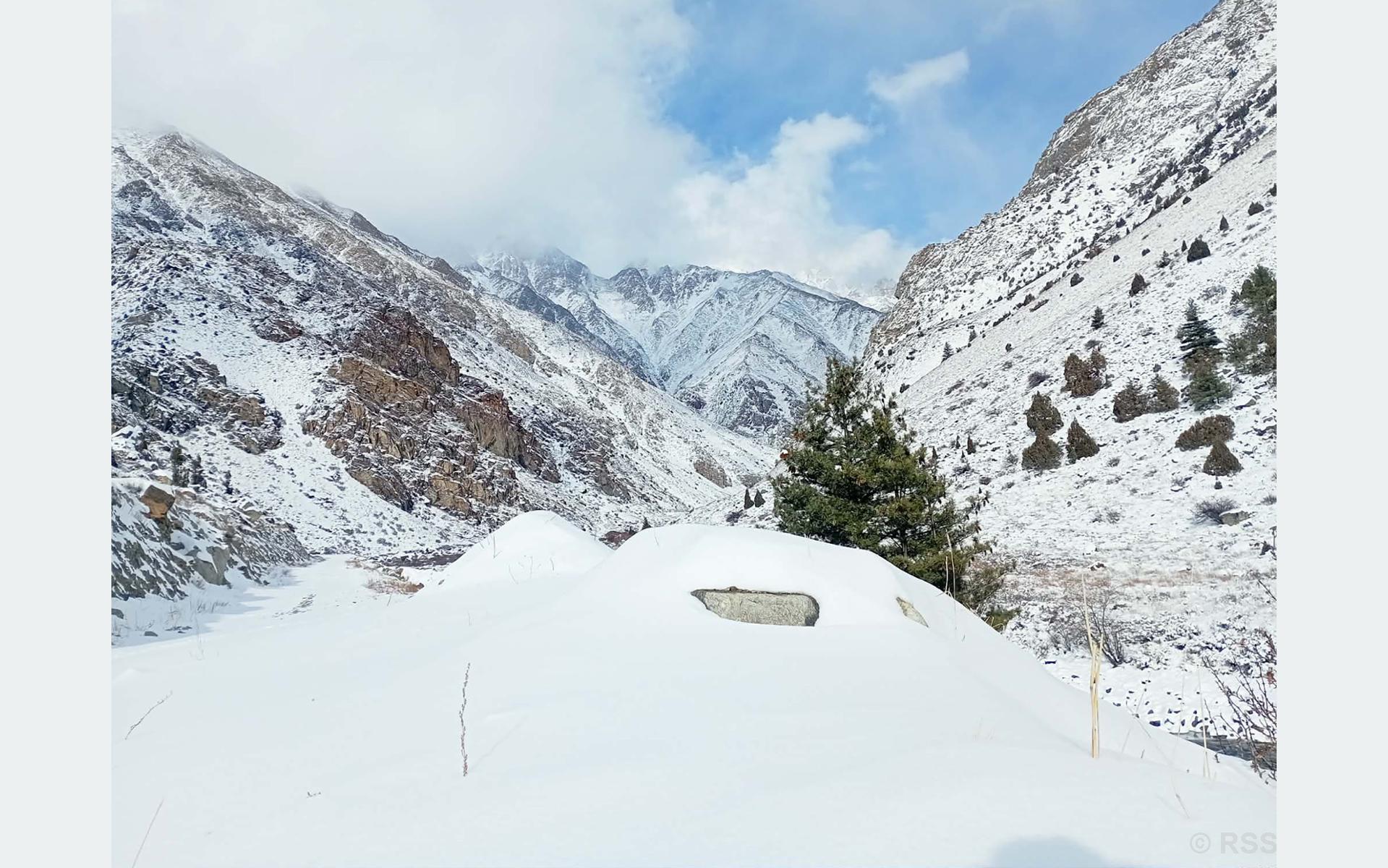 रसुवाको उत्तरी भेकमा हिमपात, जनजीवन प्रभावित