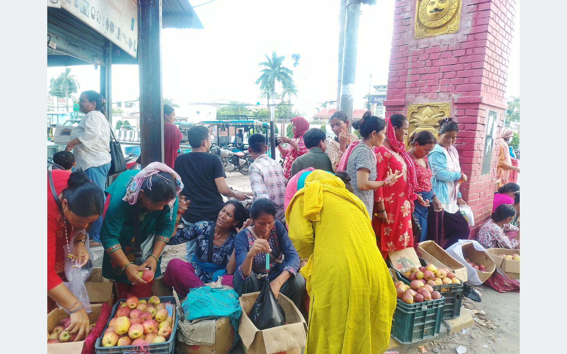 तीजको कोसेलीः कर्णालीको स्याउ
