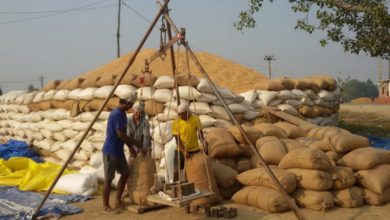 किसानलाई धान बिक्री गर्न असहज
