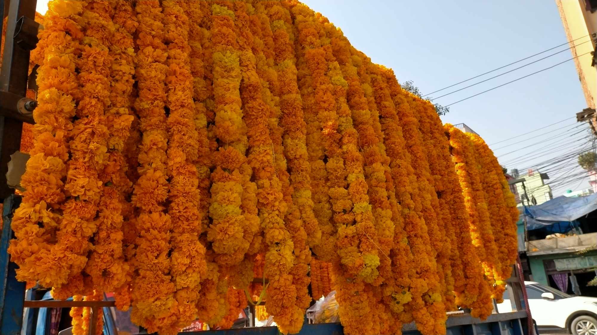 फूल माला व्यापारी निराशामा: बिक्री हुने भन्दा बढी ओईल्याउने  र कुहिने बढी