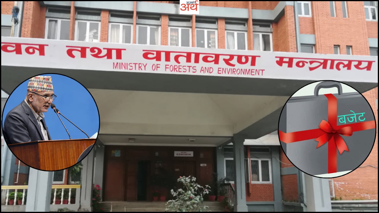 बजेटमा समेटिएका वन मन्त्रालयका नयाँ कार्यक्रम–  पातलो प्लाष्टिकको उत्पादनमा रोकदेखि ‘फुट फरेष्ट’ कार्यक्रम सञ्चालनसम्म