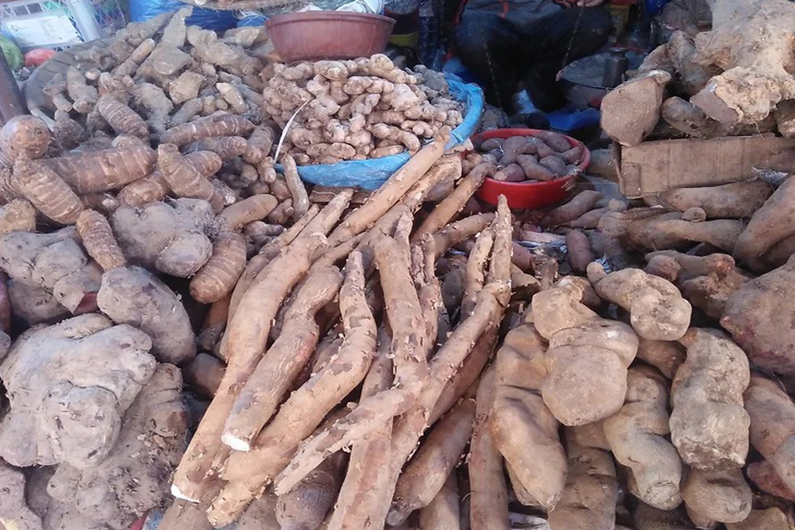माघे संक्रान्ति नजिकिएसँगै बजारमा तरुल र चाकुको व्यापार फस्टायो