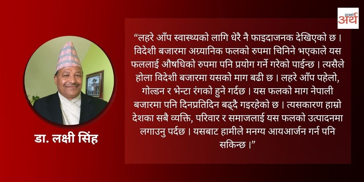 लहरे आँपको महत्व र सरकारलाई सुझाव