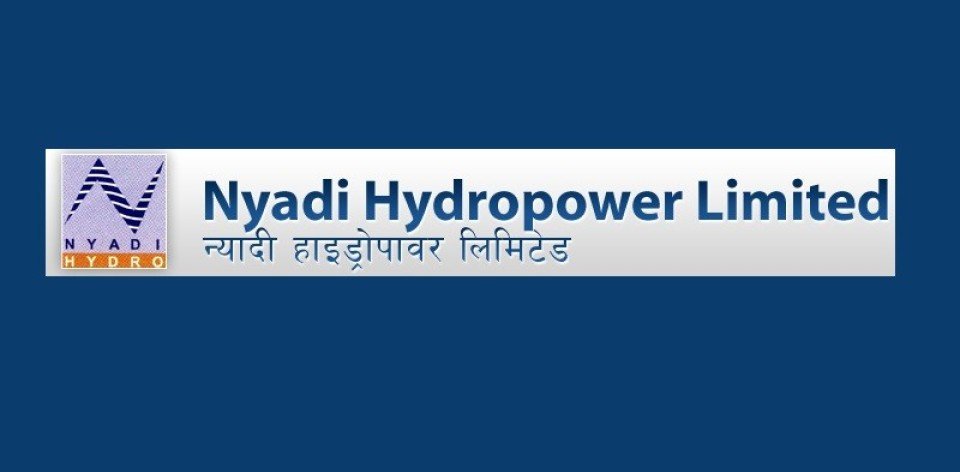 कस्तो छ न्यादी हाईड्रोपावरको  वित्तीय विवरण ?