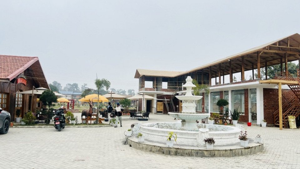 टाइगर होटल फरेष्टक आतिथ्य व्यवसायलाई विस्तार