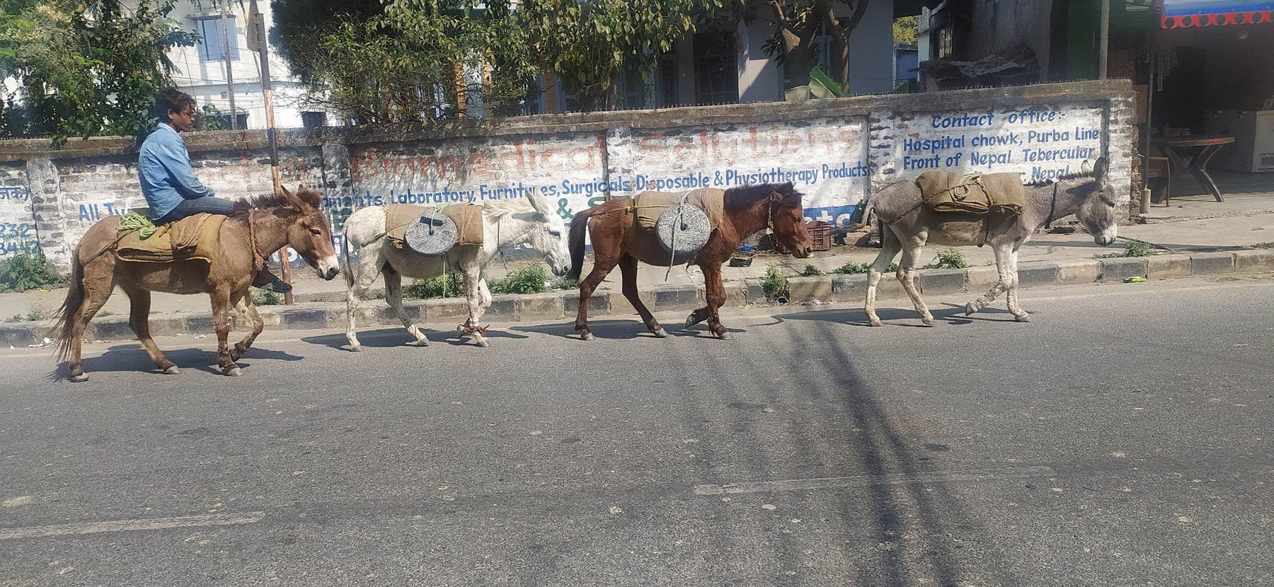 गधामा जाँतोको व्यापार