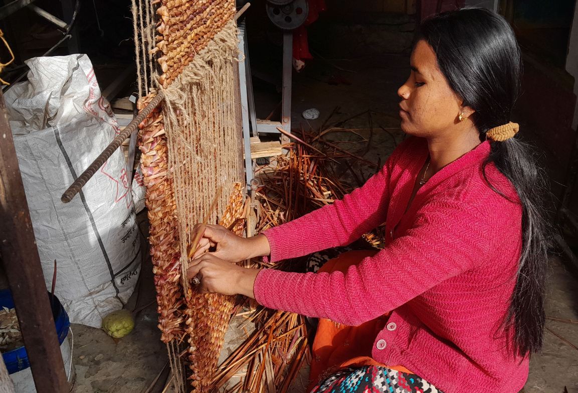 अलैँचीको रेसाबाट सुकुल बुन्दै